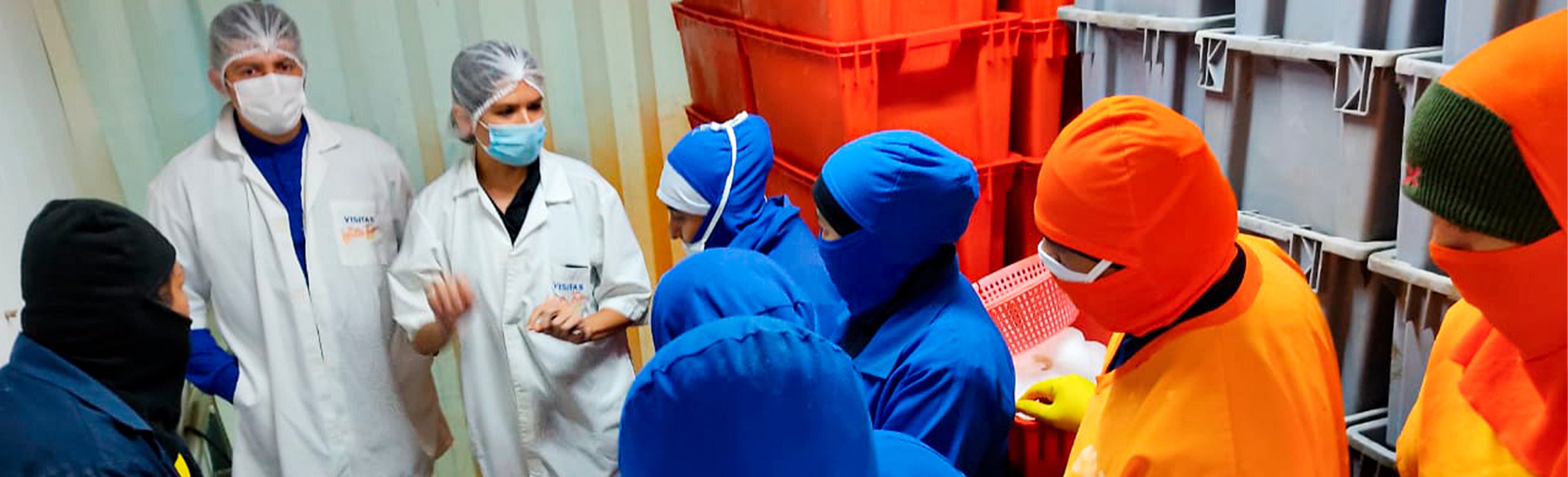 PAGINA DE SERVICIOS 2